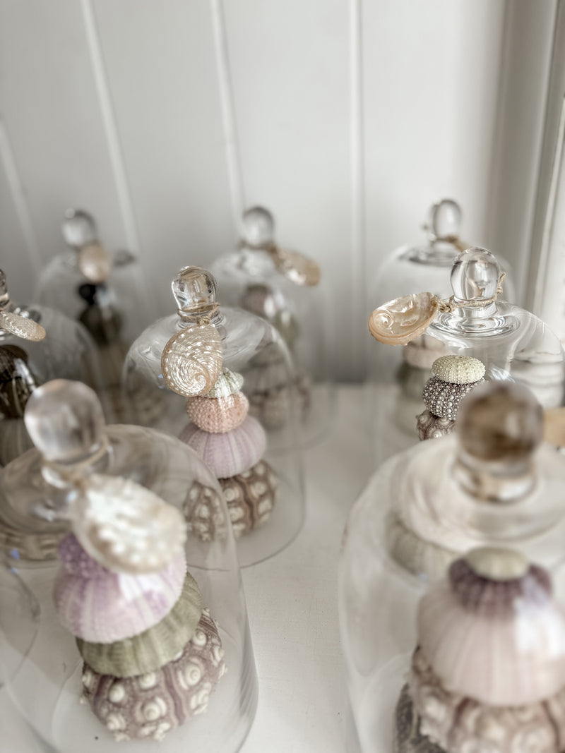 Sea Urchin Bell Jar Stack