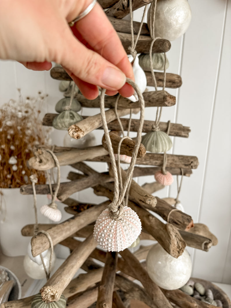 Sea Urchin Christmas Decorations