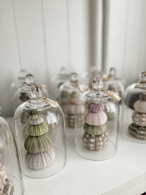 Sea Urchin Bell Jar Stack