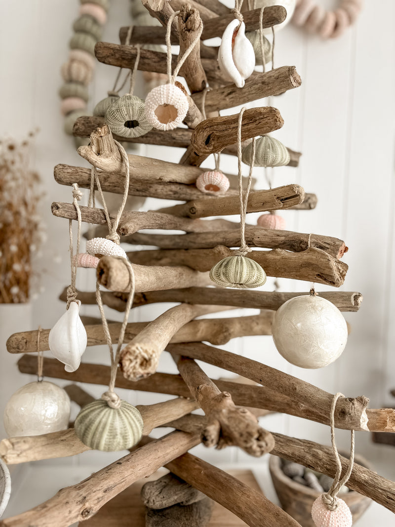 Sea Urchin Christmas Decorations