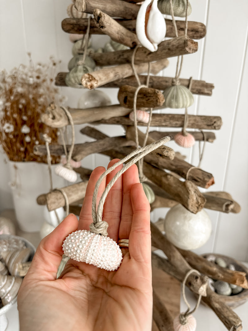 Sea Urchin Christmas Decorations