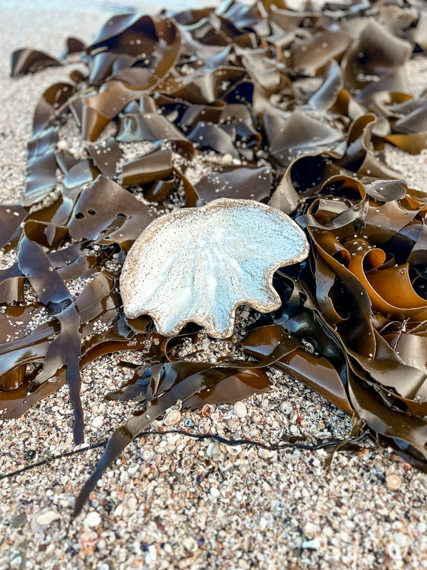 Clay clam dish