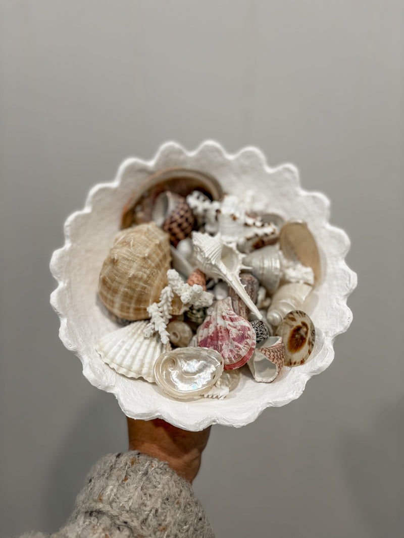 Tidal Treasure Dish