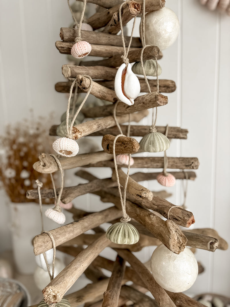 Sea Urchin Christmas Decorations