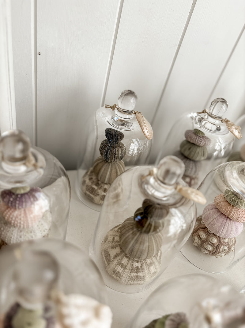 Sea Urchin Bell Jar Stack