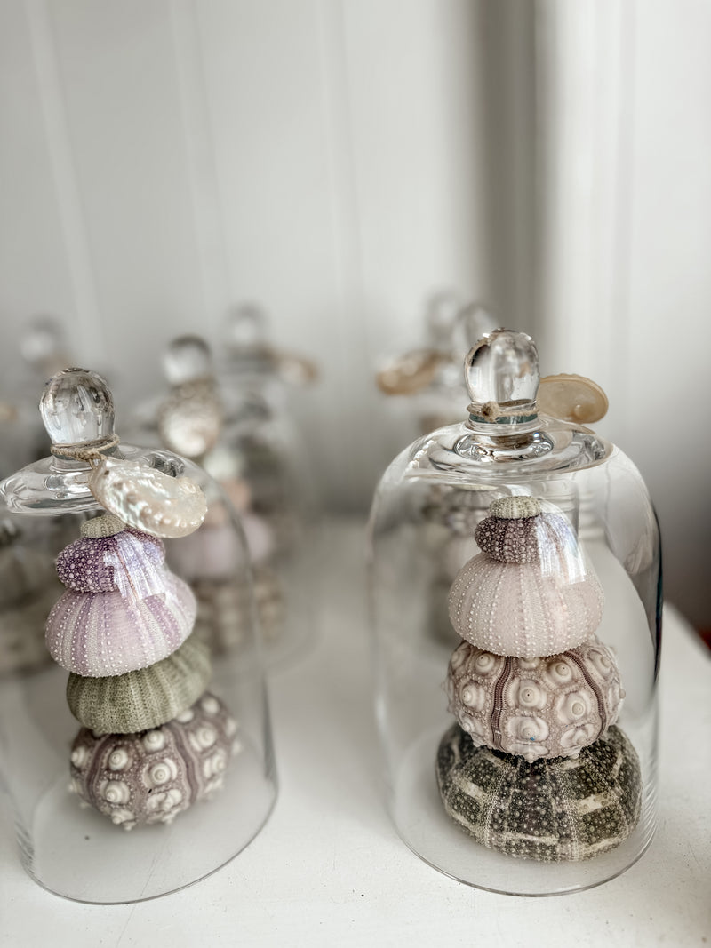 Sea Urchin Bell Jar Stack