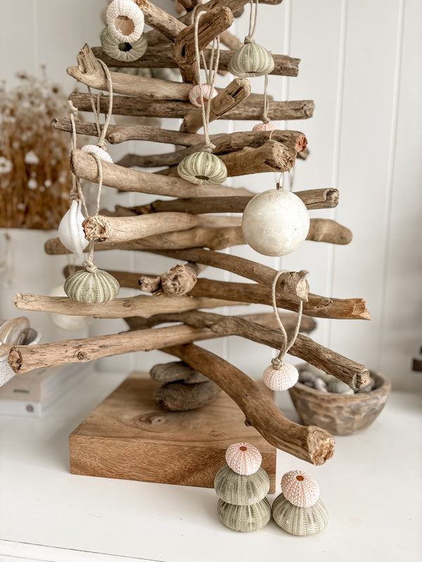 Sea Urchin Christmas Decorations