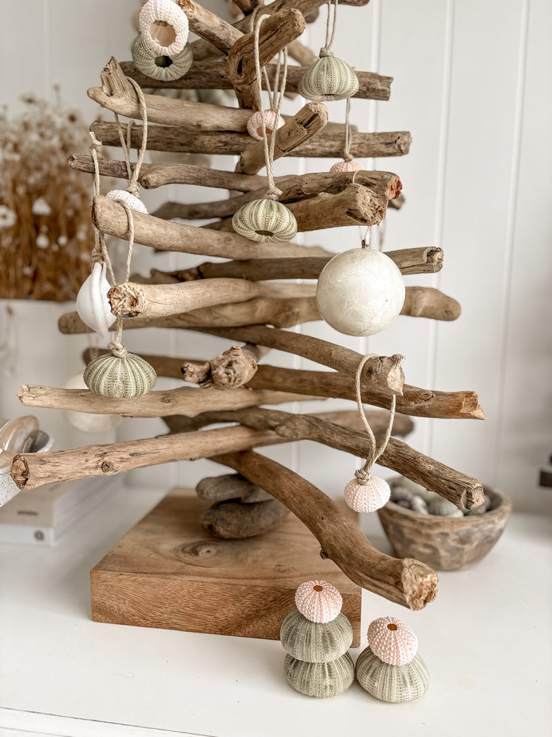 Sea Urchin Christmas Decorations