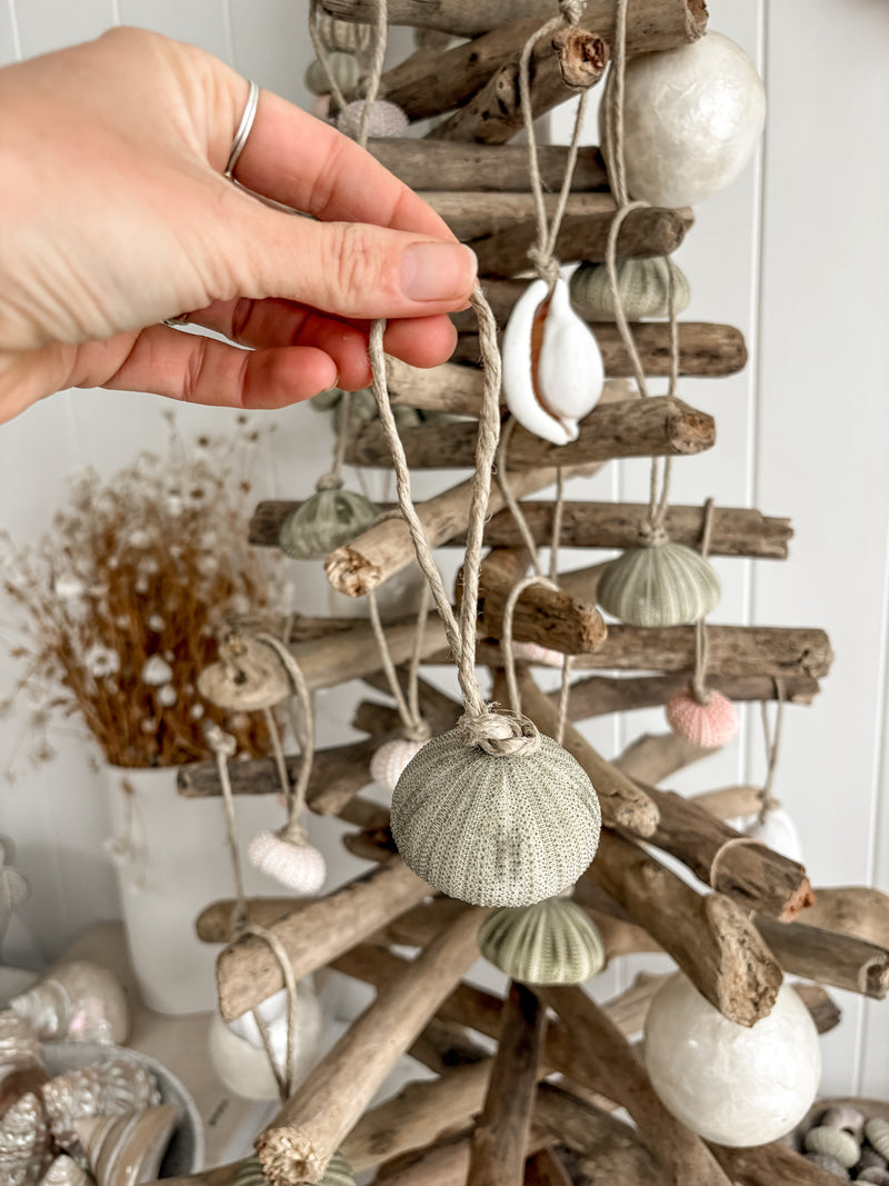 Sea Urchin Christmas Decorations