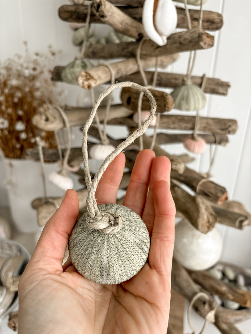 Sea Urchin Christmas Decorations