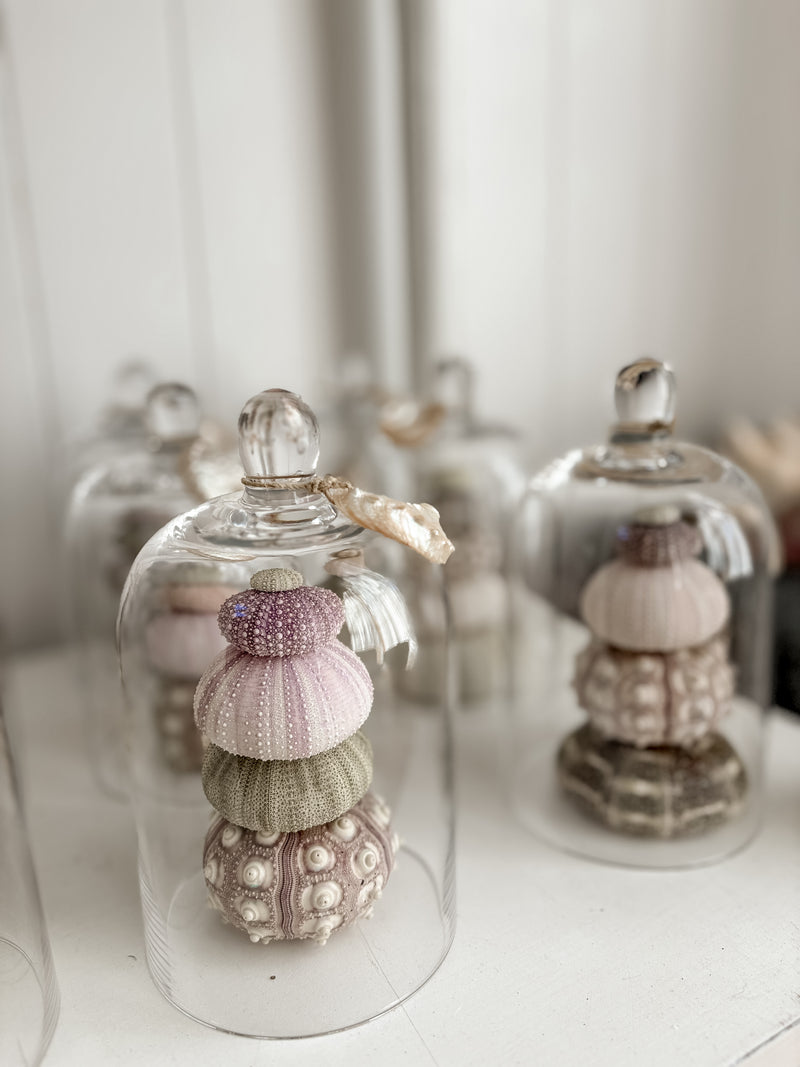 Sea Urchin Bell Jar Stack