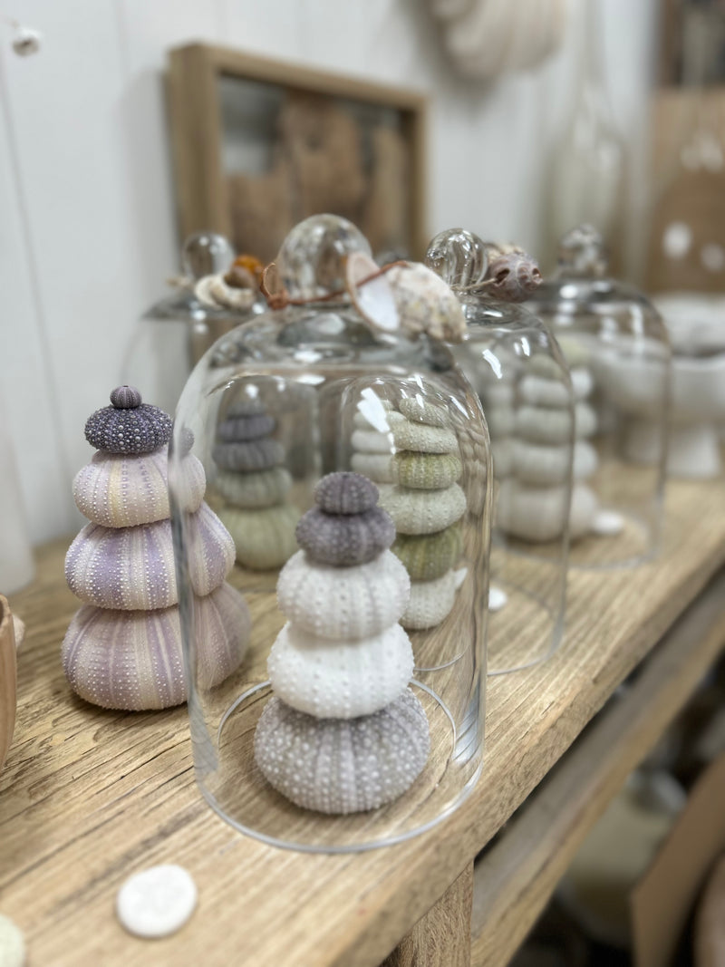 Sea Urchin Bell Jar Stack