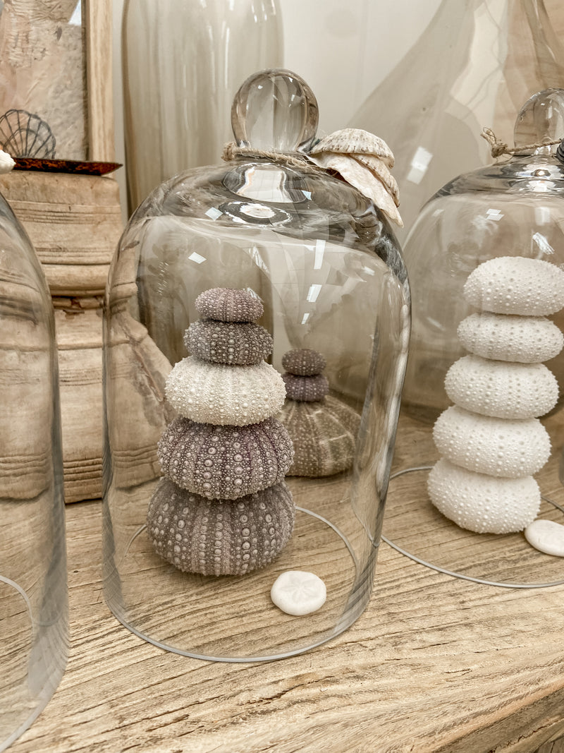 Sea Urchin Bell Jar Stack